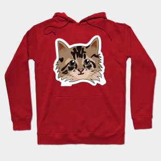 Norwegian Forest cat Hoodie